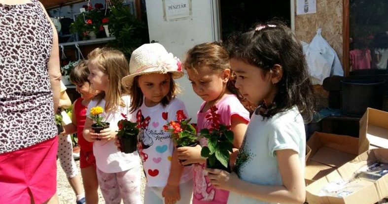 Egy budaörsi óvodát megajándékoztunk az anyák napjára szánt virágokkal :)
