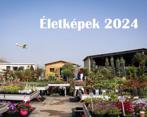 Életképek 2024